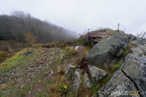Champ de bataille du Hartmannswillerkopf (Wattwiller)