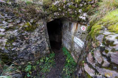 Champ de bataille du Hartmannswillerkopf (Wattwiller)