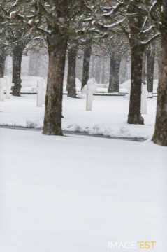 Cimetière américain de Saint-Mihiel (Thiaucourt-Regniéville)