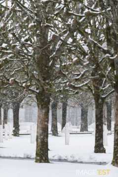 Cimetière américain de Saint-Mihiel (Thiaucourt-Regniéville)