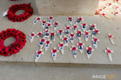Mémorial franco-britannique (Thiepval)