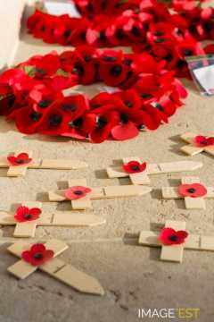 Mémorial franco-britannique (Thiepval)