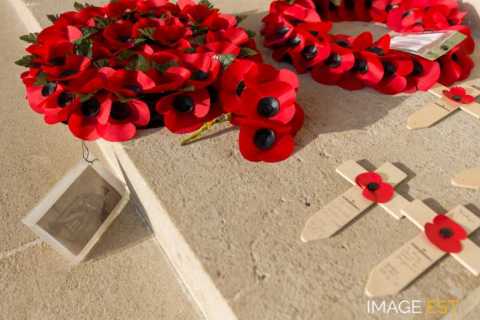 Mémorial franco-britannique (Thiepval)