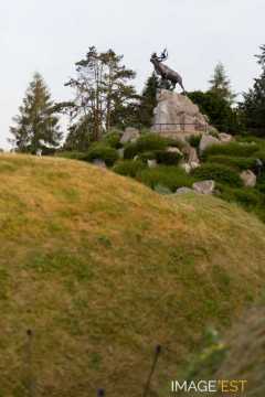 Mémorial terre-neuvien (Beaumont-Hamel)
