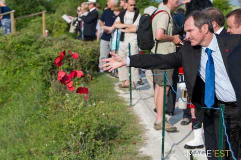 Lochnagar Crater (Ovillers-la-Boisselle)