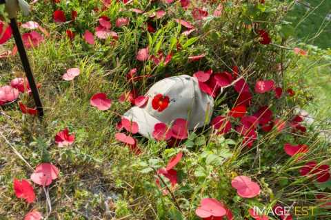 Lochnagar Crater (Ovillers-la-Boisselle)
