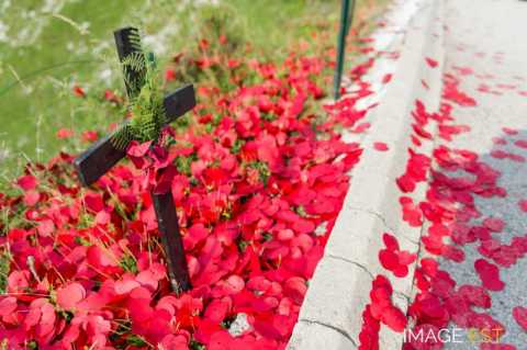 Lochnagar Crater (Ovillers-la-Boisselle)
