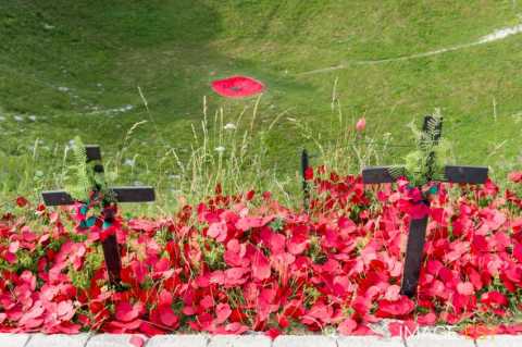 Lochnagar Crater (Ovillers-la-Boisselle)