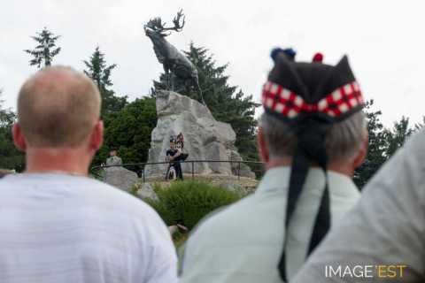 Mémorial terre-neuvien (Beaumont-Hamel)