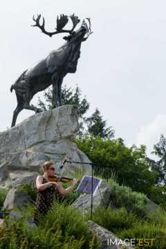 Mémorial terre-neuvien (Beaumont-Hamel)