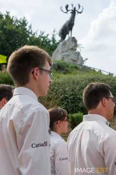 Mémorial terre-neuvien (Beaumont-Hamel)