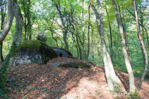Batterie d'artillerie (Eix)