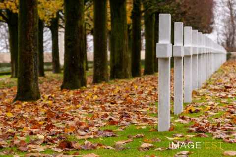 Cérémonie du 11 novembre au cimetière américain Saint-Mihiel (Thiaucourt-Regniéville)