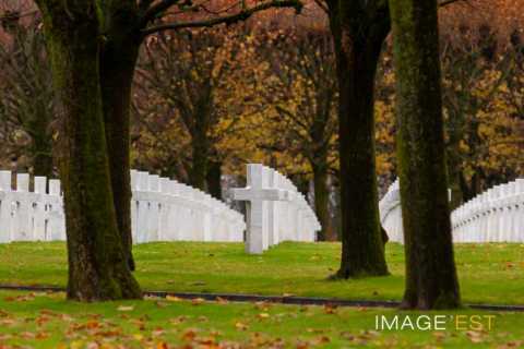 Cérémonie du 11 novembre au cimetière américain Saint-Mihiel (Thiaucourt-Regniéville)