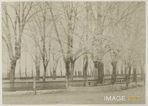 Bosquet (Haroué)