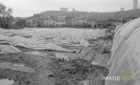 Inondations de 1983 (Maxéville)