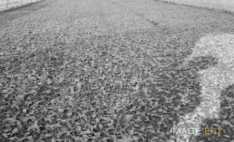 Inondations de 1983 (Maxéville)