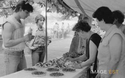 Fête des fraises (Maxéville)