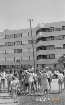 Mât de cocagne (Maxéville)