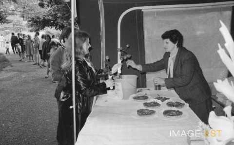 Fête des fraises (Maxéville)