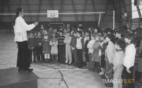 Gymnase Marie Marvingt (Maxéville)