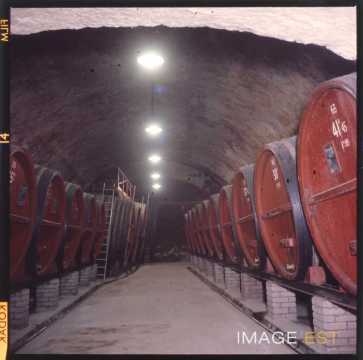 Cave des Vins de la Craffe (Maxéville)