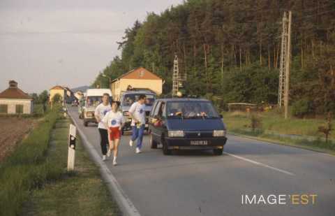 Course pédestre  (Ramstein-Miesenbach)