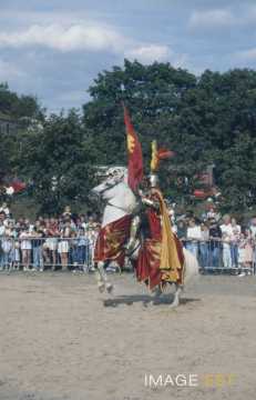 Chevalier (Liverdun)