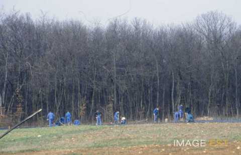 Travail de plantations (Maxéville)
