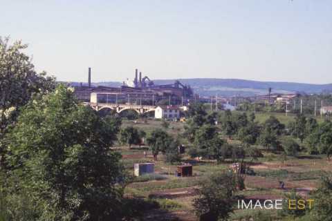 Jardins potagers (Pompey)