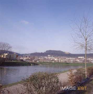 Rive de la Meurthe (Maxéville)