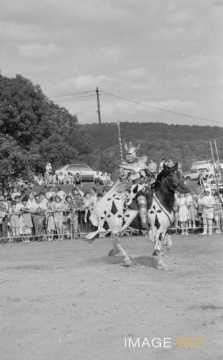 Cavalier (Liverdun)