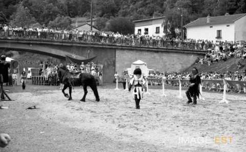 Cavaliers (Liverdun)