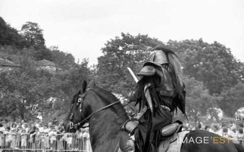 Cavalier (Liverdun)