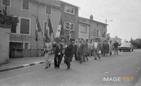 Défilé d'anciens combattants (Maxéville)