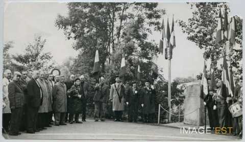 Cérémonie de commémoration (Maxéville)