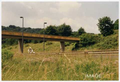 Passerelle (Maxéville)