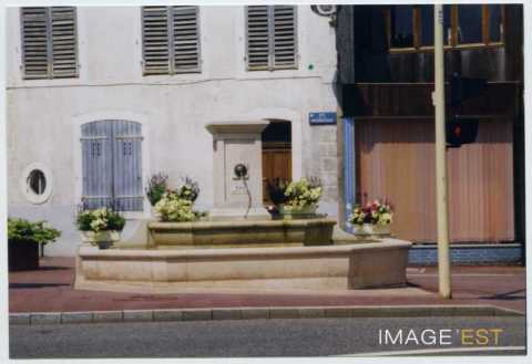 Fontaine (Maxéville)