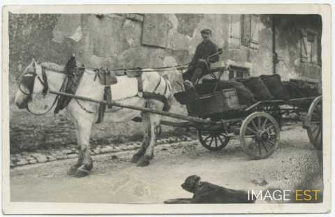 Livreur de charbon (Maxéville)