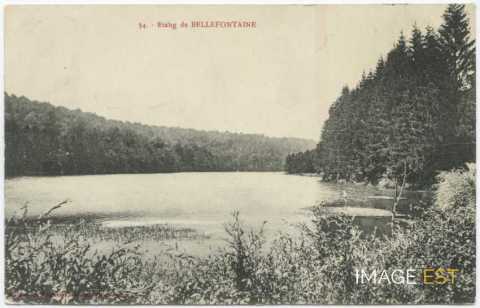 Étang de Bellefontaine (Champigneulles)
