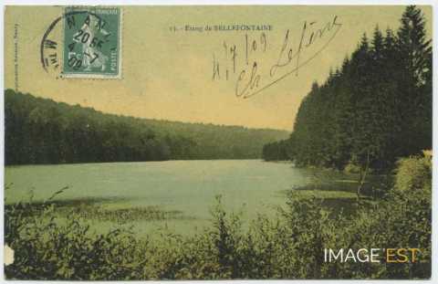 Étang de Bellefontaine (Champigneulles)