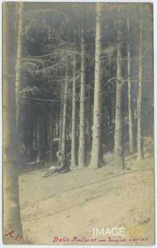 Forêt de Bellefontaine (Champigneulles)