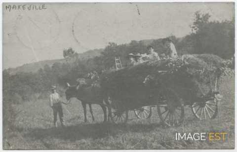 Fenaison (Maxéville)