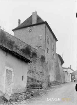 Maison-forte (Villey-Saint-Étienne)