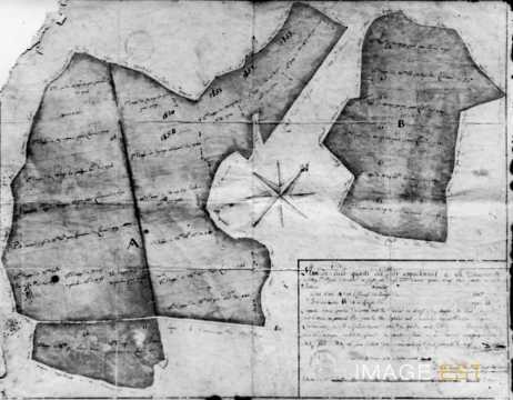 Plan des bois (Villey-Saint-Étienne)