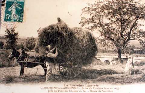 Fenaison (Clermont-en-Argonne)