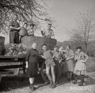 Vendanges à Vandières