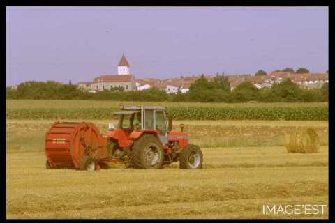 Travaux des champs