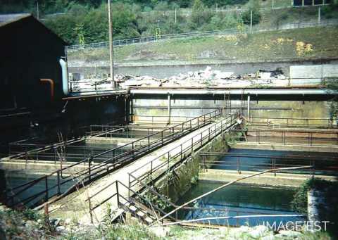 Bassin de décantation (Réhon)
