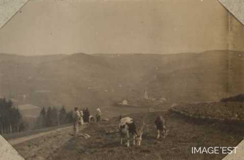 Scène de la vie rurale (La Croix-aux-Mines)